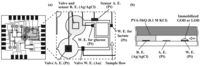 Sensors 08 01111f3 200