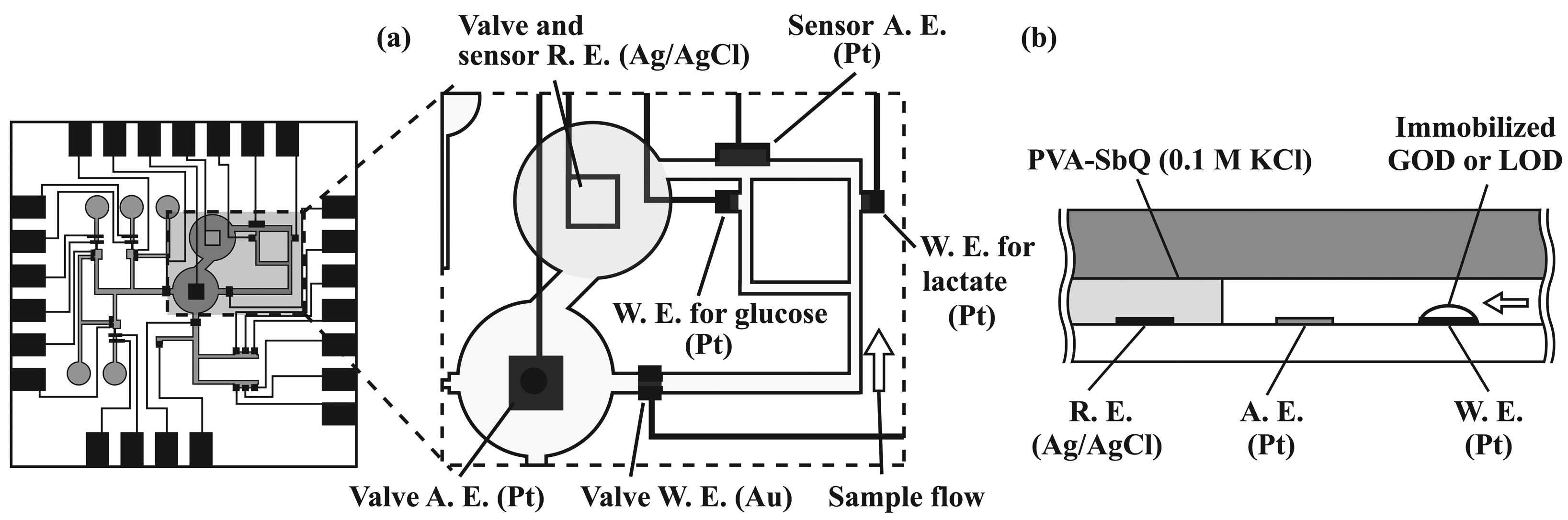 Sensors 08 01111f3