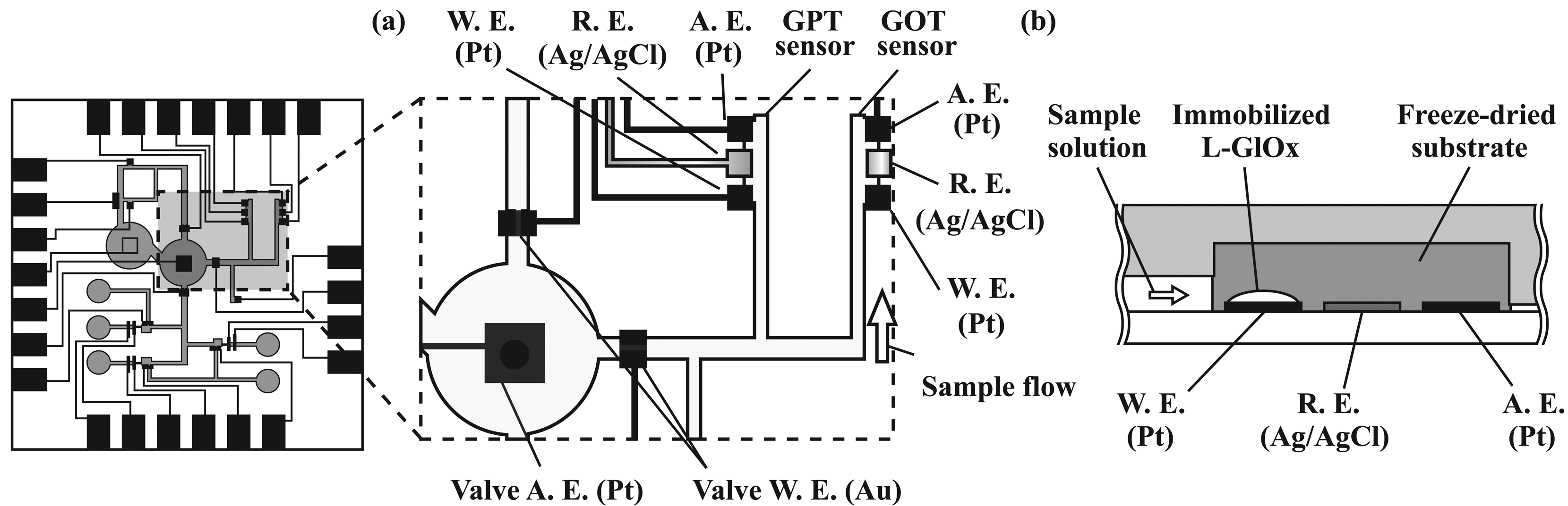 Sensors 08 01111f4