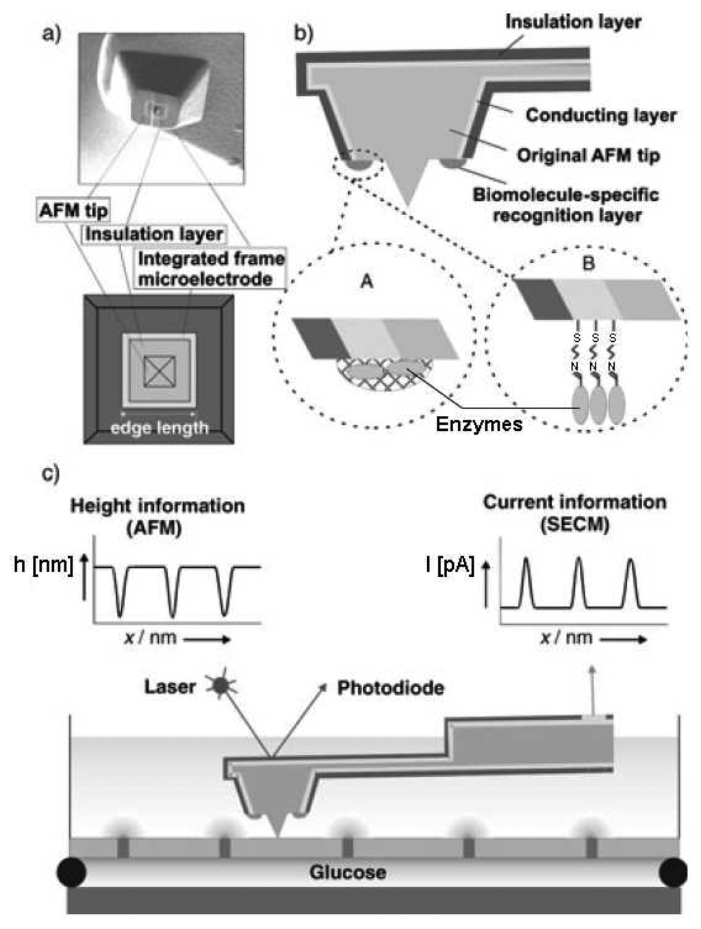 pdf nature vol 436 no 7052