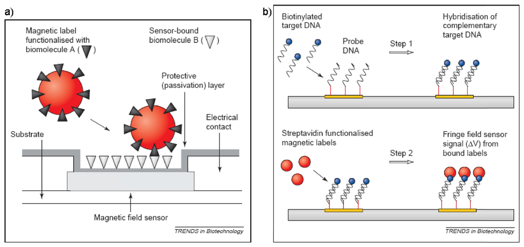 Sensors 08 01400f20 1024