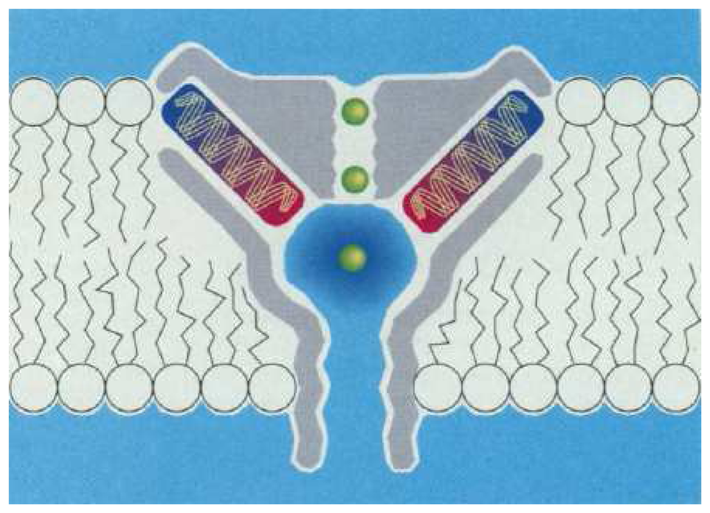 Sensors 08 01400f23 1024
