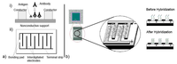 Sensors 08 01400f6 200