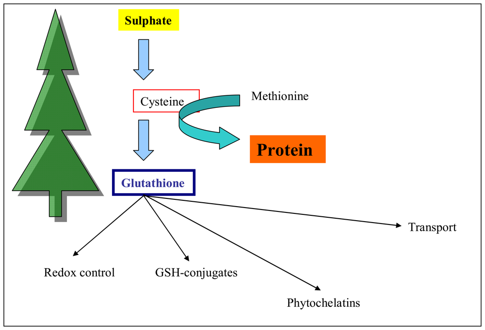 download cell culture and its application