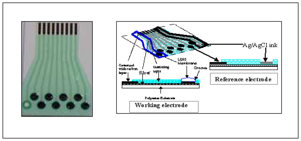 Sensors 08 03665f1 1024