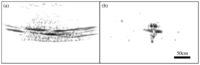 Sensors 08 03903f9 200