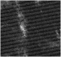 Sensors 08 04948f4 200