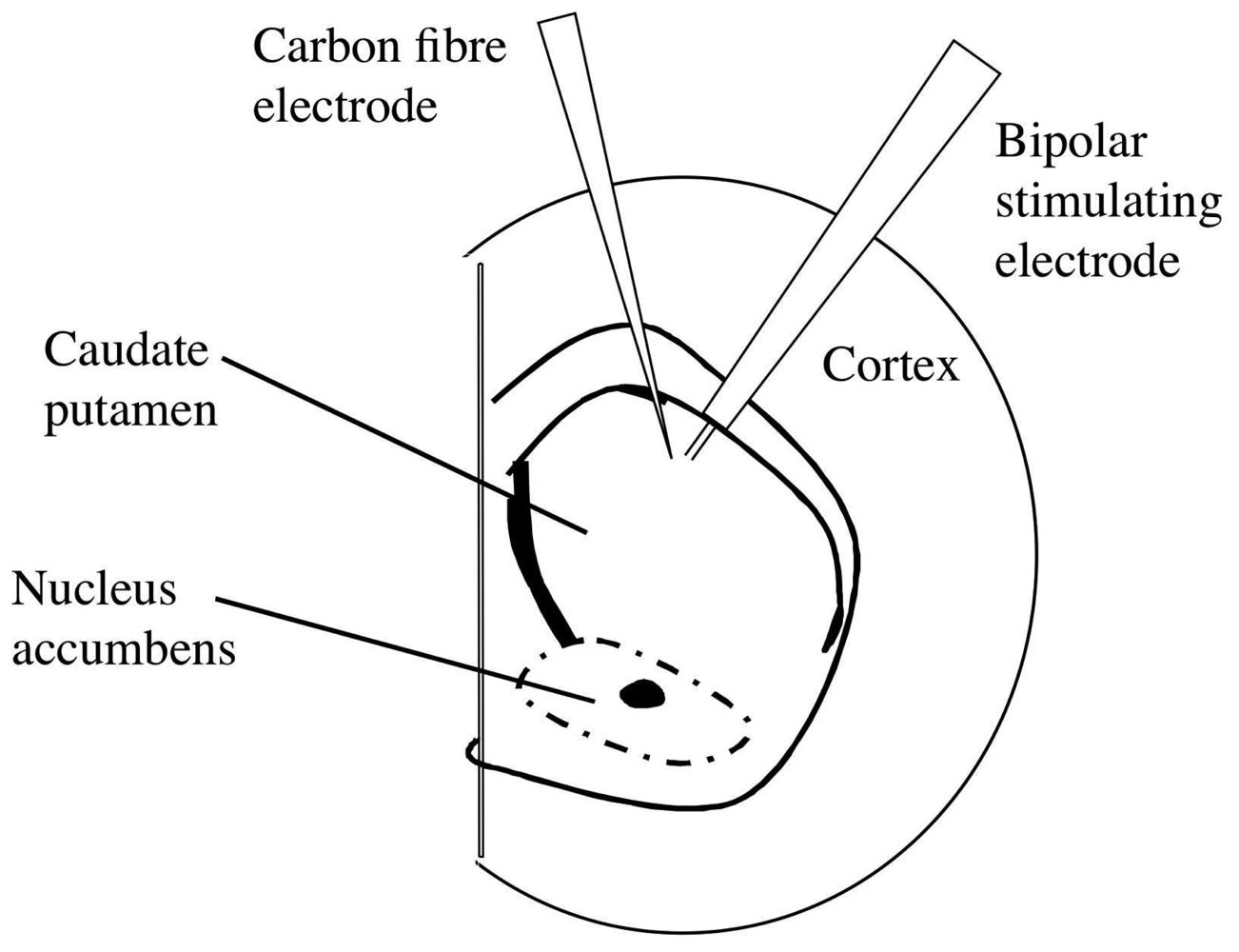 Sensors 08 05516f1