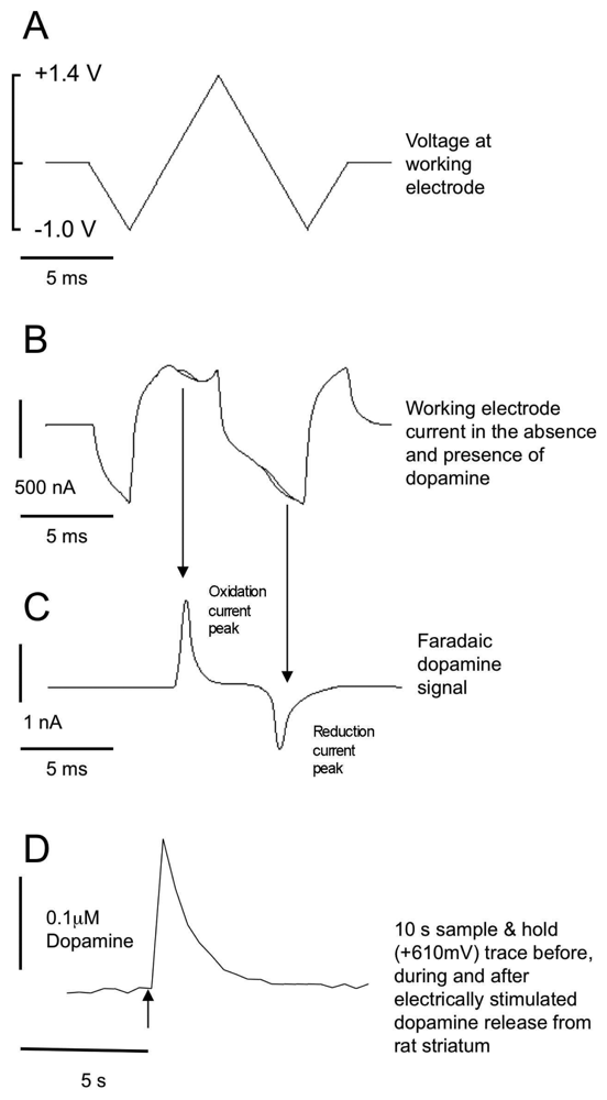 Sensors 08 05516f2