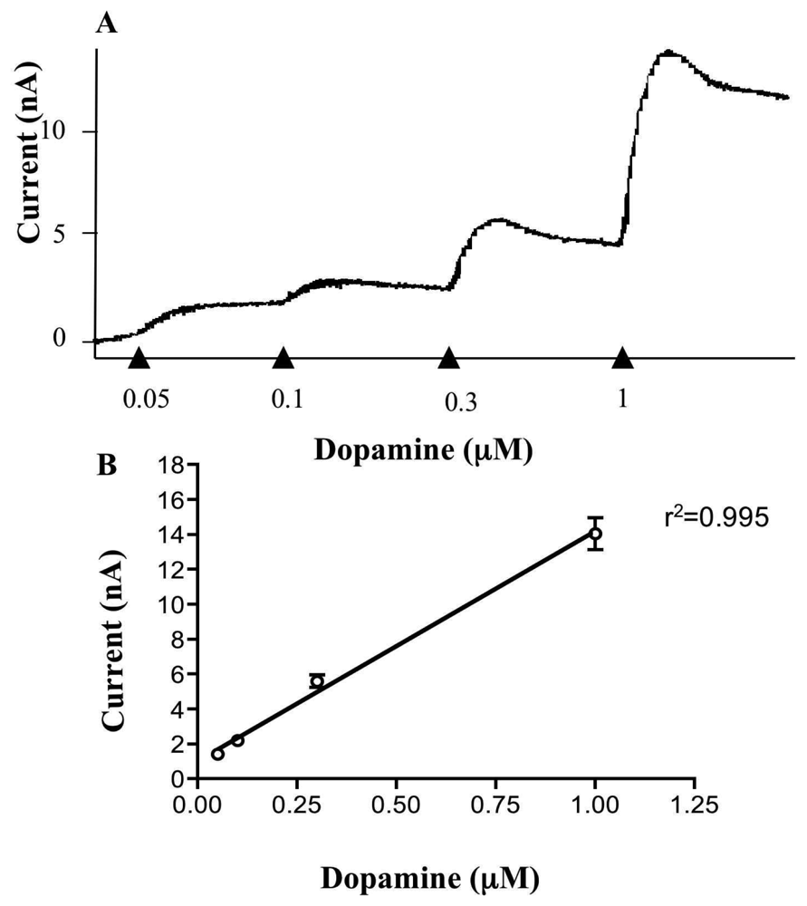 free atmospheric ozone dynamics observations in the mediterranean region 1997