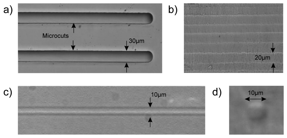 Sensors 08 06595f3 1024