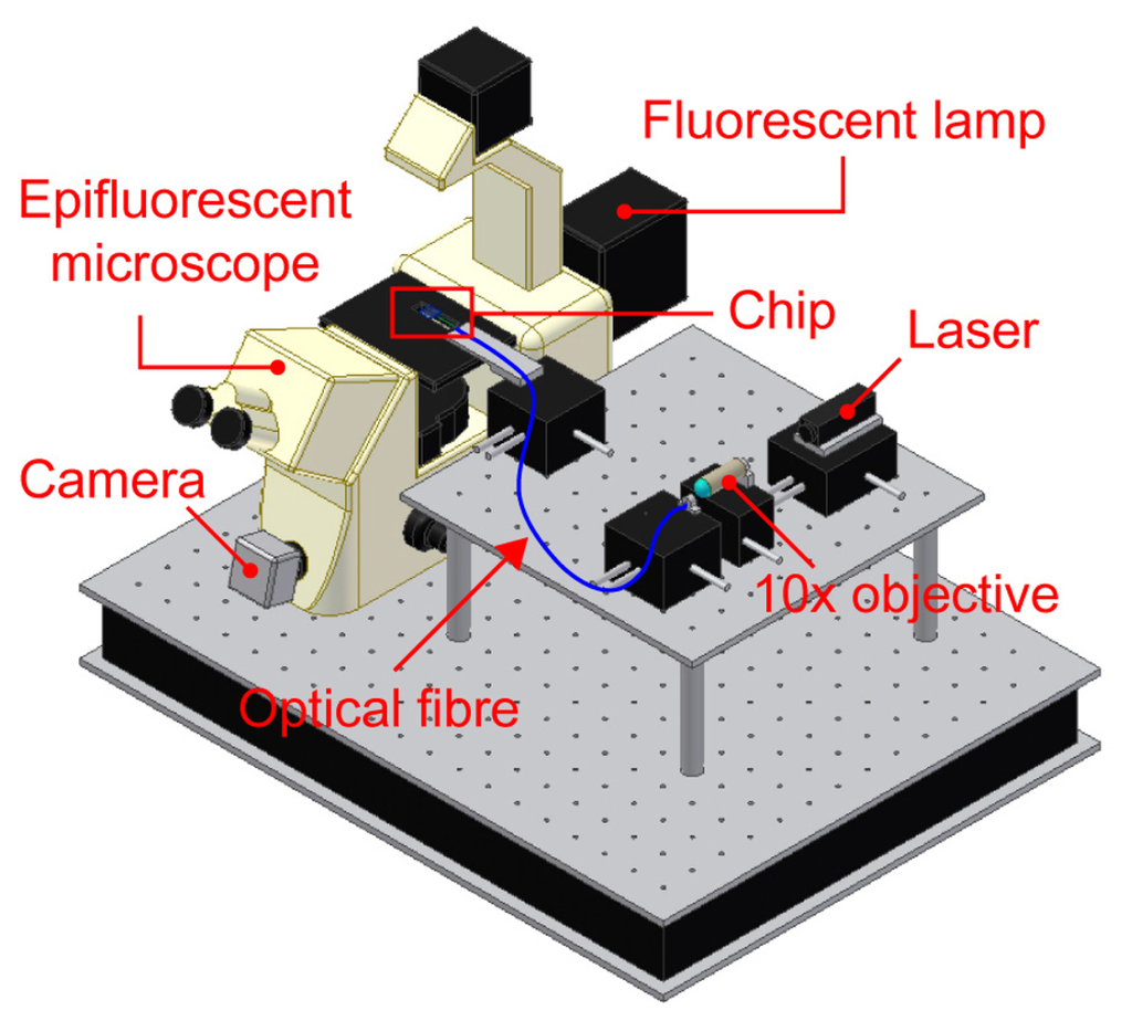 Sensors 08 06595f4 1024