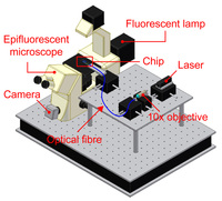 Sensors 08 06595f4 200
