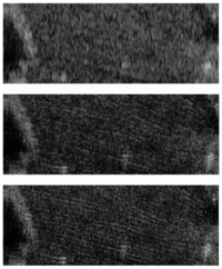 Sensors 08 08224f6 200