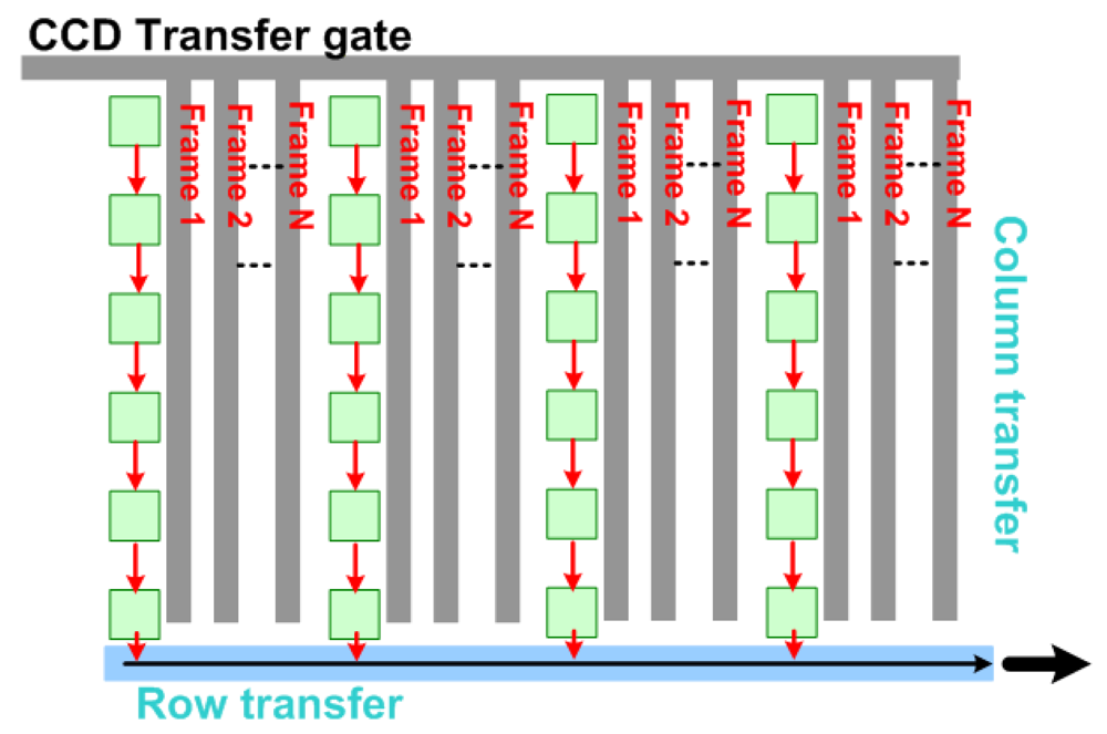 book languages of