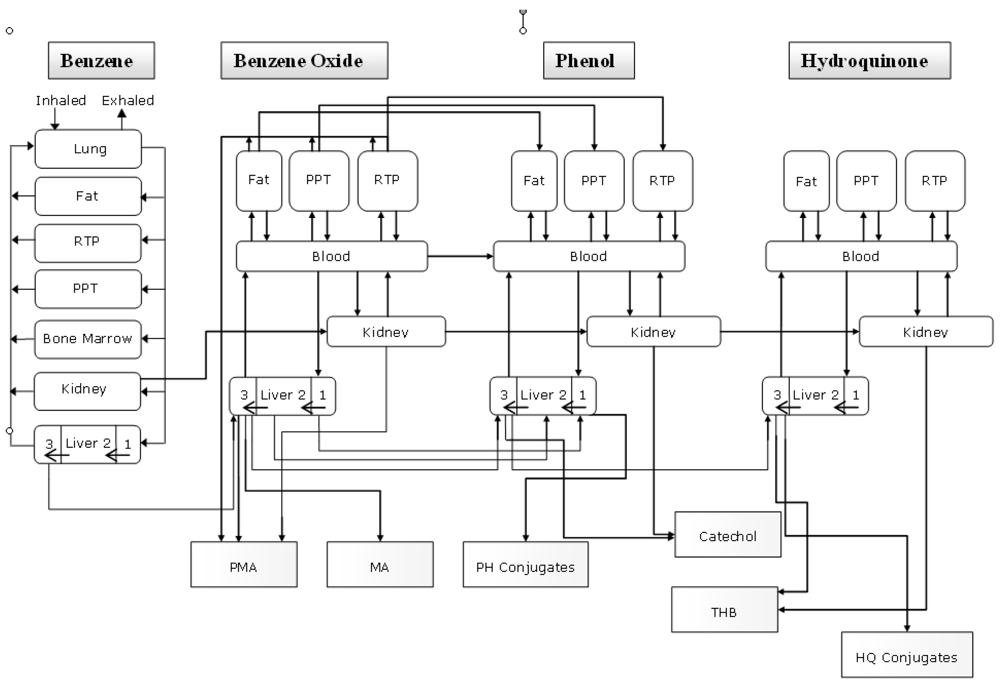 Toxicity Assessment