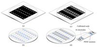 Sensors 09 01141f3 200