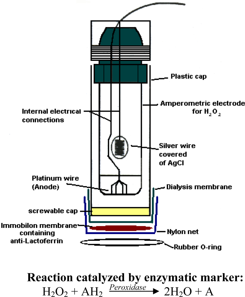 Sensors 09 02202f2 1024