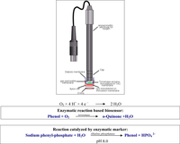 Sensors 09 02202f5 200