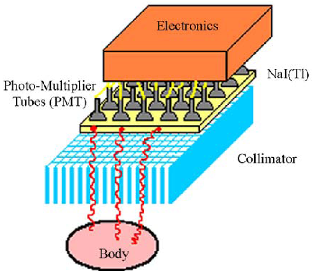 Sensors 09 03491f23 1024