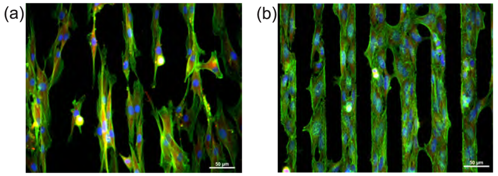 book nature reviews molecular cell biology