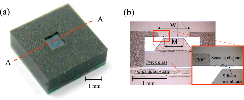 Sensors 09 06200f6
