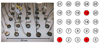 Sensors 09 08593f4 200