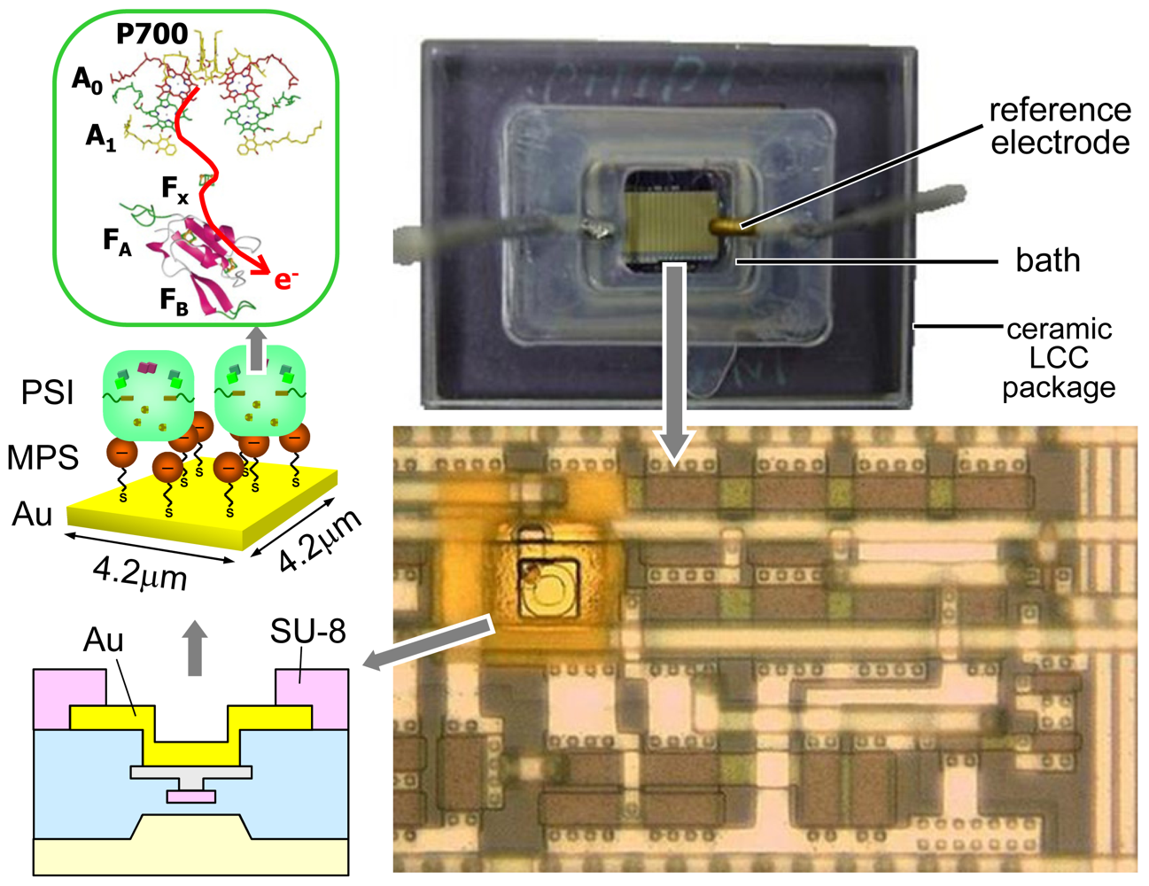 Sensors 09 08831f20