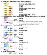 Sensors 10 02386f7 200