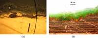 Sensors 10 04926f5 200