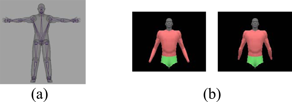 draw a framework of the human body