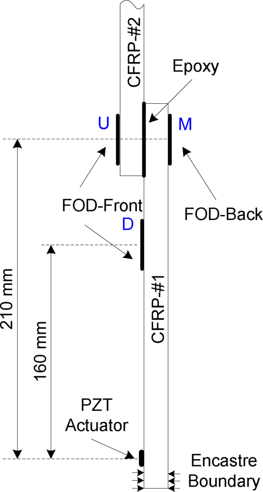 Sensors 10 05975f7 1024