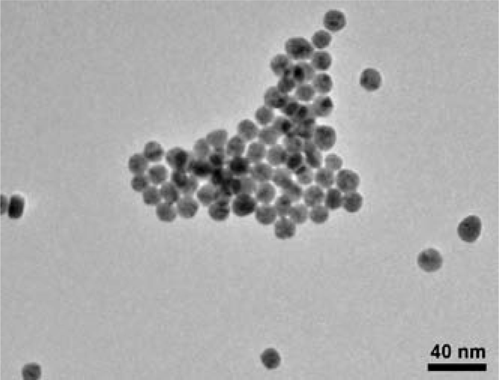 Sensors 10 07002f5 1024