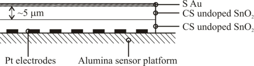 Sensors 10 07002i3