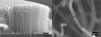 Sensors 10 07705f1 200