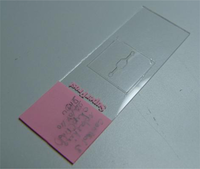 Sensors 10 09831f2 200
