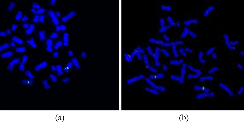 Sensors 10 09831f9 1024