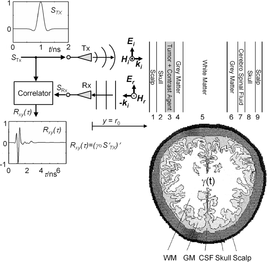 the chemical biology of nucleic acids 2010