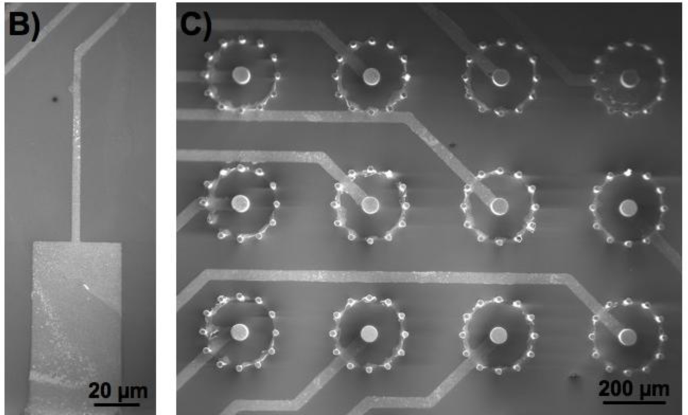 Sensors 10 10986f3b 1024