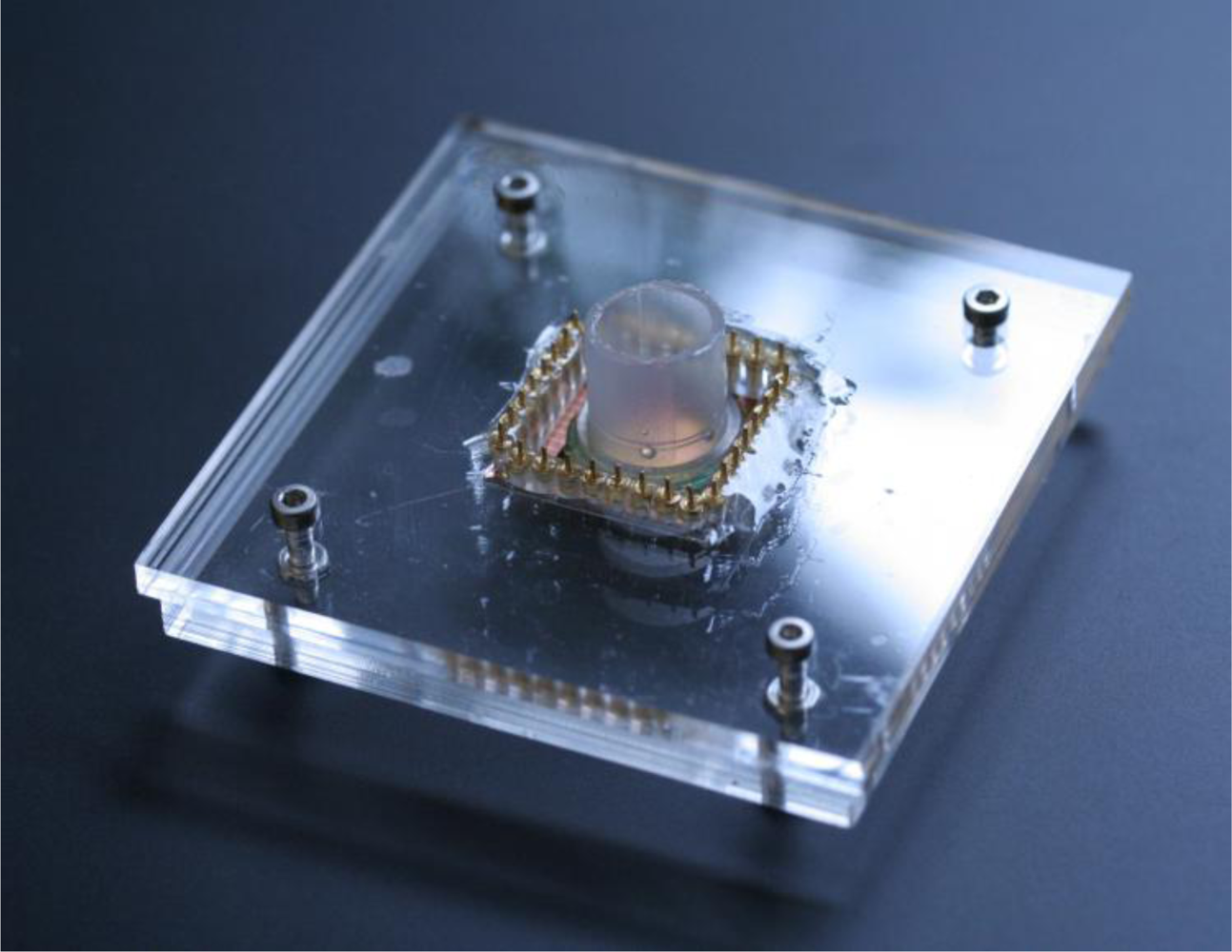 Sensors 10 10986f5 1024