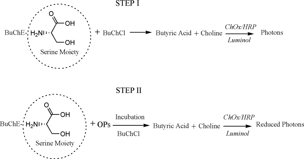 Sensors 10 11274f7 1024