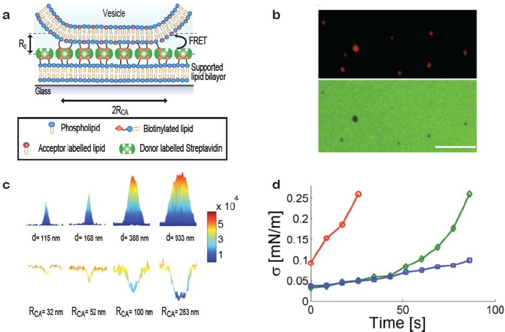 Sensors 10 11352f3 1024