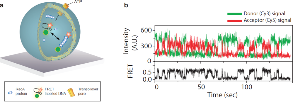 Sensors 10 11352f5 1024