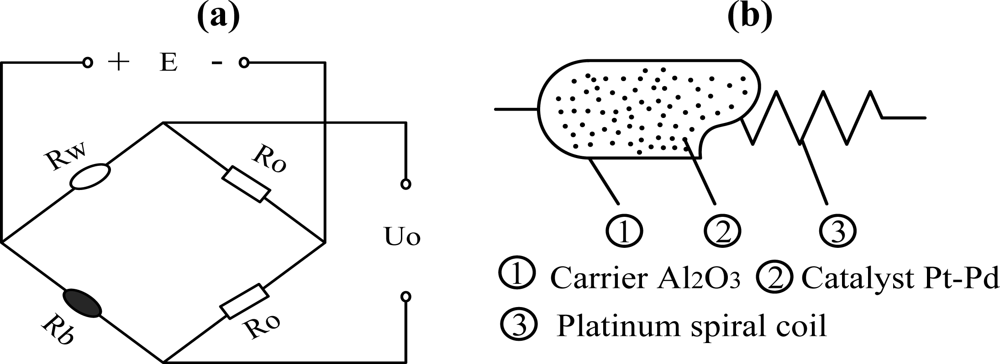 Sensors 11 00019f1 1024