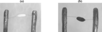 Sensors 11 00019f2 200