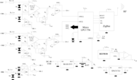 Sensors 11 00310f3 200
