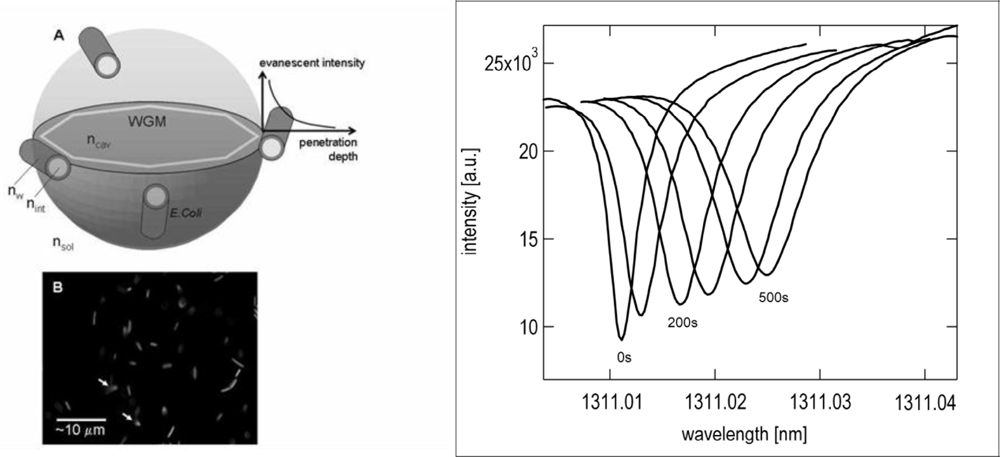 Sensors 11 00785f15 1024