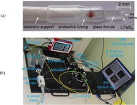 Sensors 11 00806f14 200