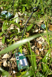 Sensors 11 01229f6 200