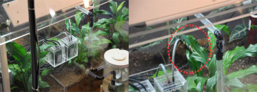 greenhouse control sensors sensor environment system figure prevention wireless automatic monitoring based dew condensation network